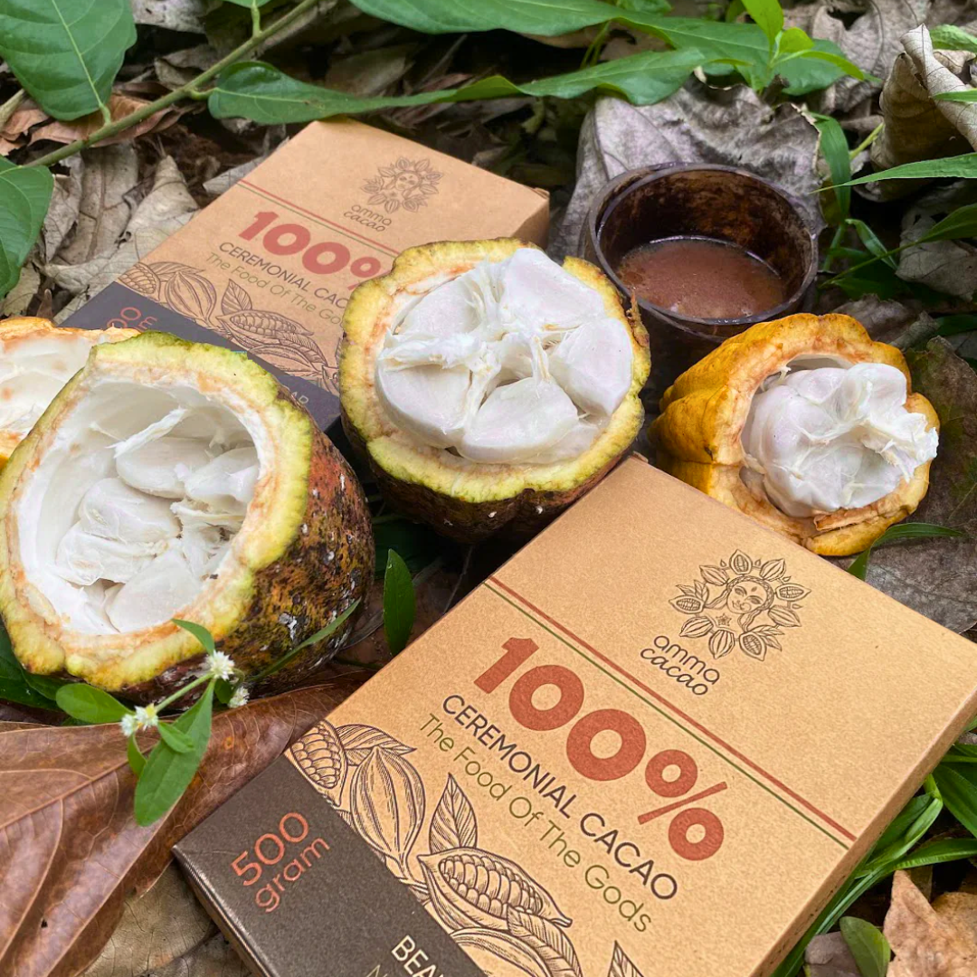 cacaobonen en ceremoniele cacao uit india amma cacao